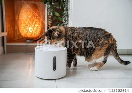 Cat drinking from automatic water dispenser. Smart pet drinker with mobile app connection. Cat drinking from automatic water dispenser. Smart pet drinker with mobile app connection. 118102814