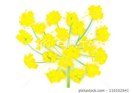 Fennel flower card 5 118102841