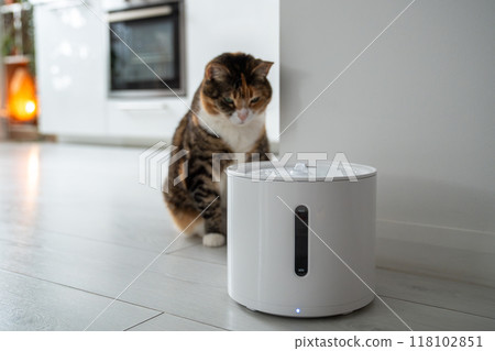 Curious cat looks at smart drinking fountain that owners bought him to prevent urinary tract disease Curious cat looks at smart drinking fountain that owners bought him to prevent urinary tract disease 118102851