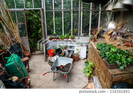 Gardener wheelbarrow with soil pot inside stands in greenhouse. Plant cultivation, transplanting 118102891