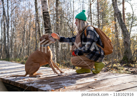 Woman pet owner dog handler stroking naughty dog sitting on wooden pathway in natural park. Woman pet owner dog handler stroking naughty dog sitting on wooden pathway in natural park. 118102916