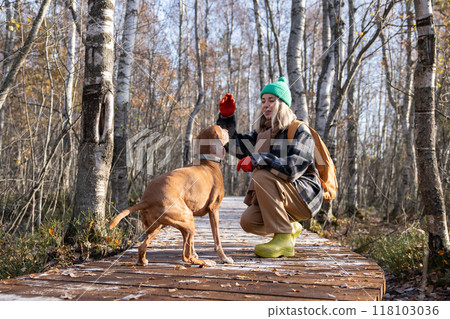 Smiling woman trains dog, gives commands and snacks during walk in autumn forest. Pet sitter walk 118103036