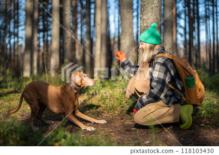 Joyful interested woman pet owner trains playful eager to follow command dog on walk in fall forest. 118103430