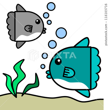 水族館裡可愛又流行的鹹水魚翻車魚的插圖 水族館裡可愛又流行的鹹水魚翻車魚的插圖 118103716