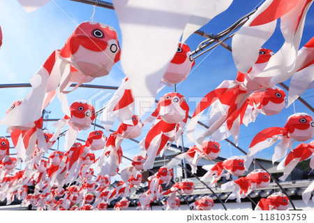 Yanai Goldfish Lantern Festival 2807 Yanai Goldfish Lantern Festival 2807 118103759