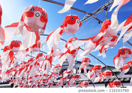 Yanai Goldfish Lantern Festival 2808 Yanai Goldfish Lantern Festival 2808 118103760