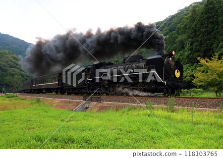 SL 山口 D51 3493 118103765