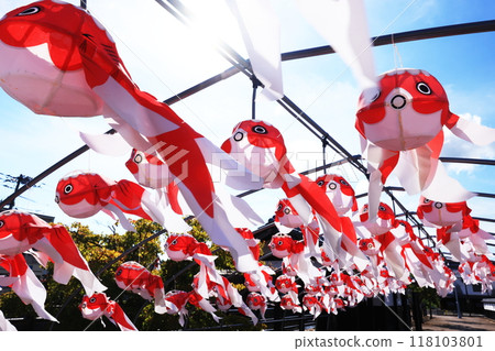 Yanai Goldfish Lantern Festival 2696 Yanai Goldfish Lantern Festival 2696 118103801