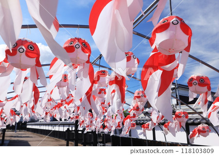 柳井金魚元宵節2713 柳井金魚元宵節2713 118103809