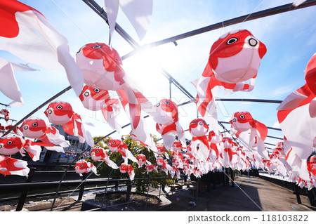Yanai Goldfish Lantern Festival 2733 118103822