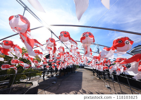 柳井金魚元宵節2739 118103825