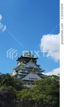 城堡塔樓在陽光明媚的日子 城堡塔樓在陽光明媚的日子 118103844