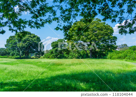 夏日風光，綠樹成蔭，自然休憩之所 118104044