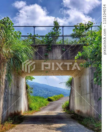Countryside summer and tunnel 118104054