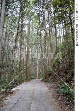 景觀與森林道路 景觀與森林道路 118104326