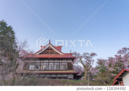 長野縣伊那市，高遠城跡公園，據說是全國最好的櫻花，櫻花盛開和高遠閣 118104392