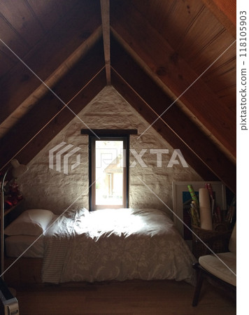 attic 118105903