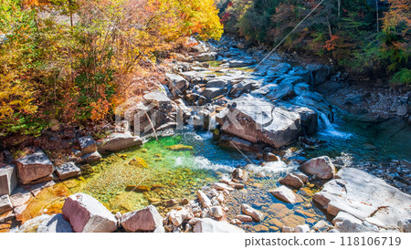 Akazawa Valley (Autumn) 118106719