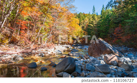 Akazawa Valley (Autumn) 118106727