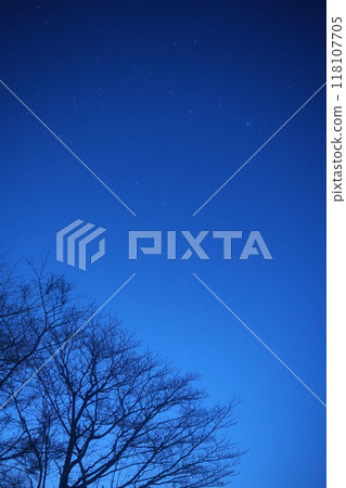 一棵樹漂浮在冬天的星空 一棵樹漂浮在冬天的星空 118107705