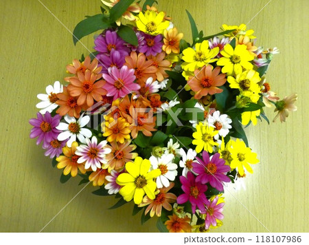 【開滿鮮花】 【開滿鮮花】 118107986