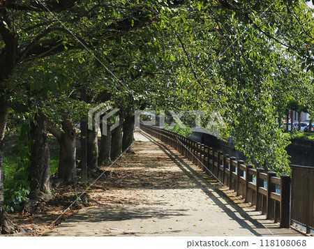 Himeji Castle West Side: Senhime Path 118108068