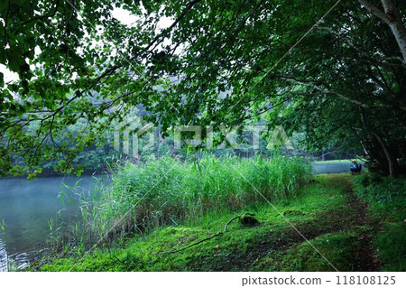 Hokkaido in summer, Onneto campsite, campsite, solo camping, lakeside campsite, silent lake, morning mist Hokkaido in summer, Onneto campsite, campsite, solo camping, lakeside campsite, silent lake, morning mist 118108125