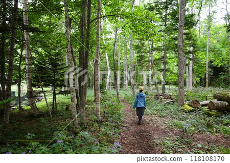 Hokkaido in summer, Onneto campsite, campsite, solo camping, lakeside campsite, silent lake, morning mist Hokkaido in summer, Onneto campsite, campsite, solo camping, lakeside campsite, silent lake, morning mist 118108170