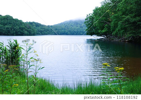 Hokkaido in summer, Onneto campsite, campsite, solo camping, lakeside campsite, silent lake, morning mist Hokkaido in summer, Onneto campsite, campsite, solo camping, lakeside campsite, silent lake, morning mist 118108192