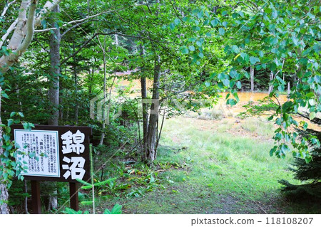 Hokkaido in summer, Onneto campsite, campsite, solo camping, lakeside campsite, silent lake, morning mist 118108207