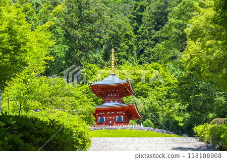 Katsuo-ji Temple: Tahoto Pagoda seen from the stone steps 118108908