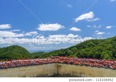 勝尾寺 - 寺內各處擺放著小達摩 118108942