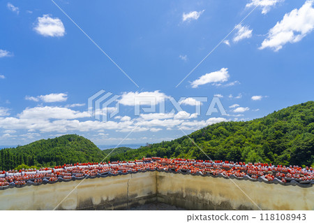 Katsuo-ji Temple: Small Daruma dolls placed around the temple grounds 118108943
