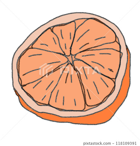 Color illustration of a mandarin orange in pencil drawing style 118109391
