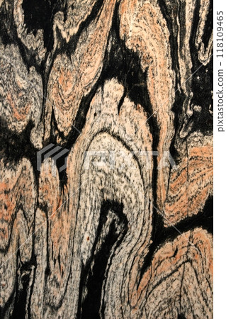 Folded gneiss 118109465