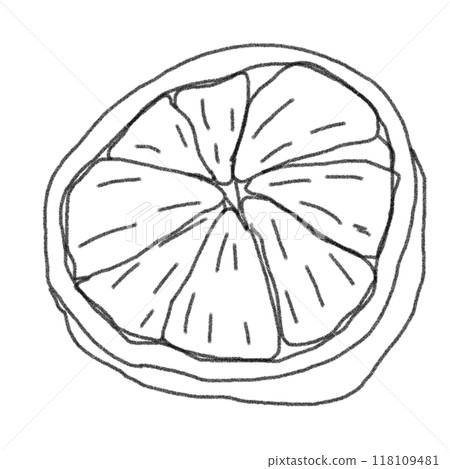 鉛筆畫風格橘子的線條畫插圖 118109481