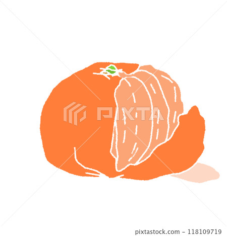 A pencil-style color illustration of a mandarin orange without line drawings 118109719