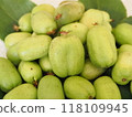Close-up of the fruit of the kokuwa (monk pear) 118109945