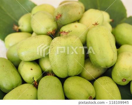 Close-up of the fruit of the kokuwa (monk pear) 118109945