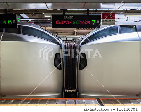 The coupling between the leading cars of the Narita Express (N'EX) E259 series 118110701