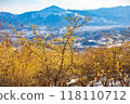 Wintersweet and Chichibu city as seen from Mt. Hodo in winter 118110712