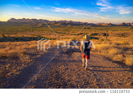 Hiker in a straw hat walks in Lost Dutchman State Park, Arizona 118110733