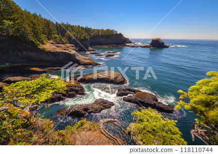 Coastal cliffs and rocky shoreline at Cape Flattery, Washington State 118110744