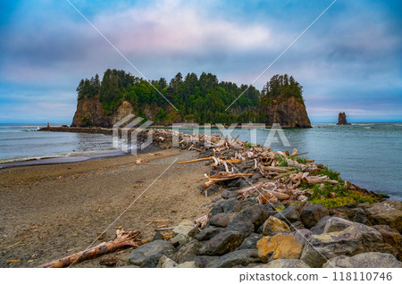 James Island viewed from La Push First Beach, Washington state 118110746