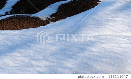 snow          118111047