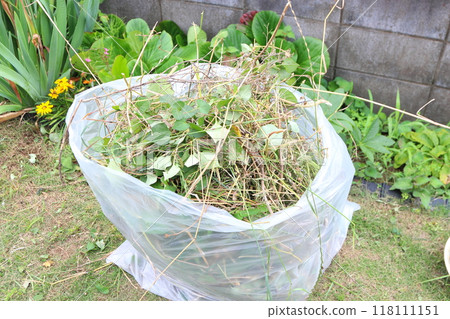 Weeding the garden: weeds and bags 118111151