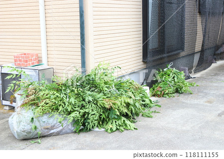 花園除草：雜草和袋子 118111155