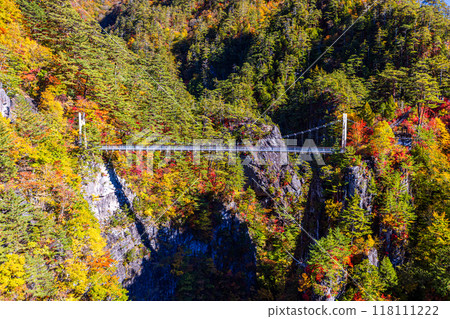 Autumn foliage at Setoai Gorge, Nikko City, Tochigi Prefecture Autumn foliage at Setoai Gorge, Nikko City, Tochigi Prefecture 118111222