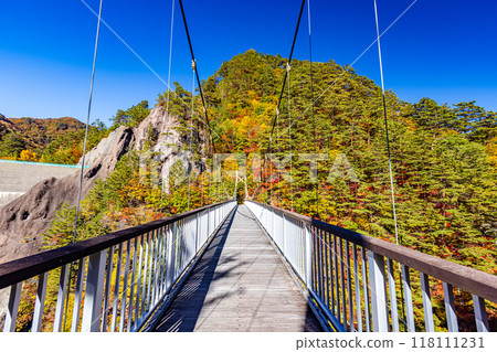 Autumn foliage at Setoai Gorge, Nikko City, Tochigi Prefecture 118111231