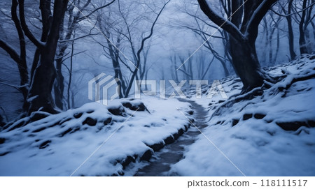 beautiful winter landscape, snow covered path in a forest, morning haze, beautiful nature 118111517